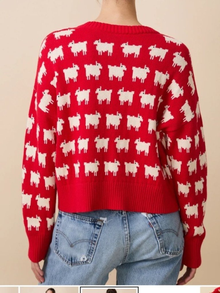 Warm & Wonderful Women's Diana Edition Cotton Linen V-Necksheep Sweater Red, S M — image 2 of 8